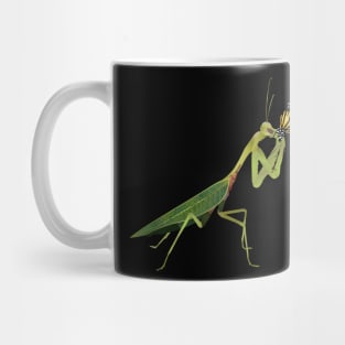 War and Survival Mug